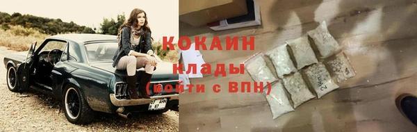 соль ск Ветлуга