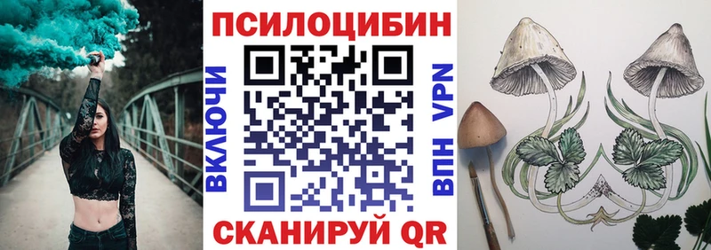 Галлюциногенные грибы мицелий  где купить наркотик  даркнет телеграм  Гдов 